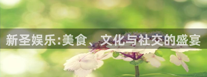 蓝狮在线彩票官网