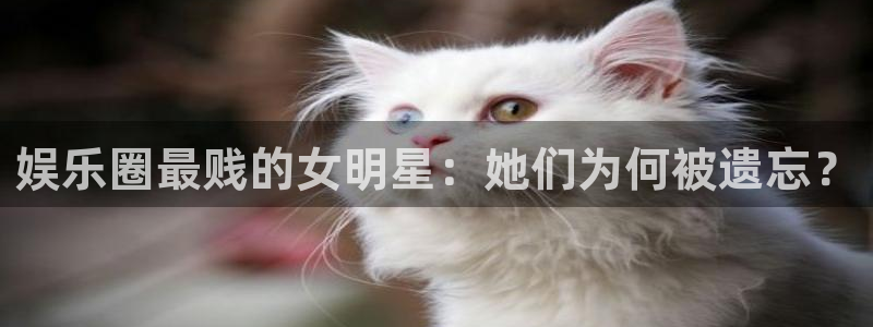 蓝狮在线平台